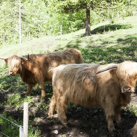 Tannerhof - Ihr Versteck In Den Bergen 3*